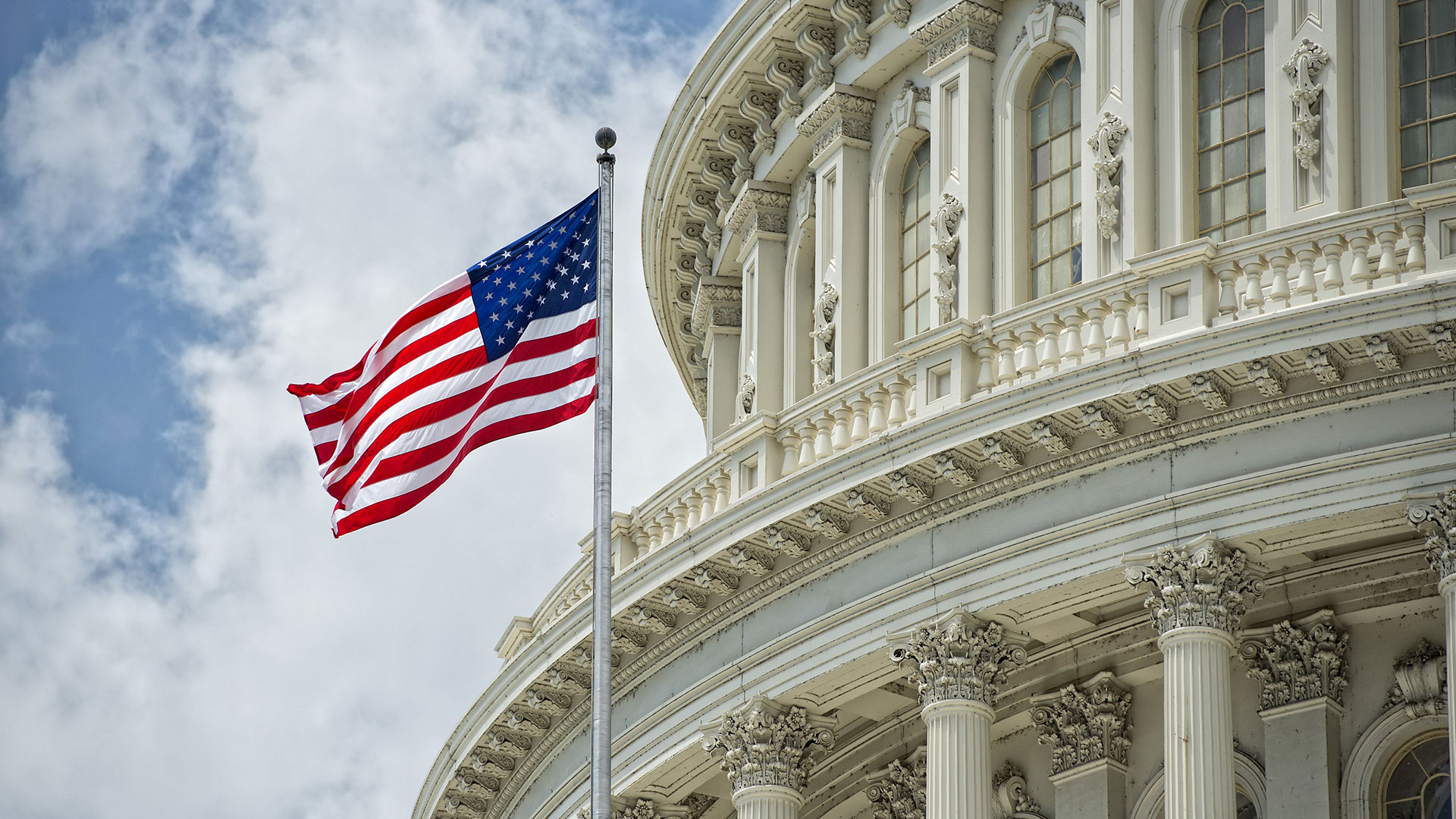 Government-Organization